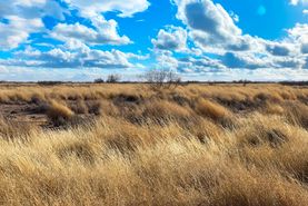 Ranch Property for sale in Luna County, New Mexico