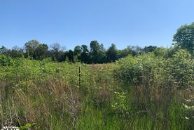 Undeveloped Land for sale in Richland Parish, Louisiana