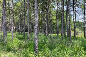 Riverfront Property for sale in George County, Mississippi