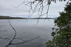 Undeveloped Land for sale in Penobscot County, Maine