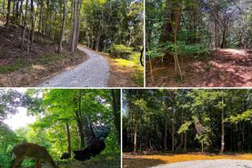 Undeveloped Land for sale in Meigs County, Ohio