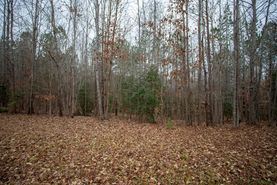 Recreational Property for sale in Brunswick County, Virginia