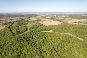 Hunting Land for sale in Pike County, Illinois