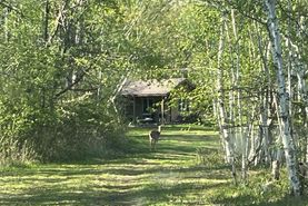 Property for sale in Douglas County, Wisconsin