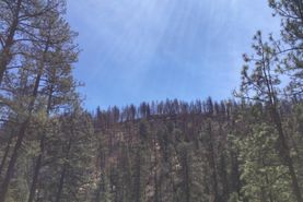 Undeveloped Land for sale in Lincoln County, New Mexico