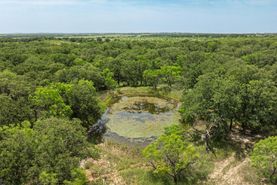 Undeveloped Land for sale in Eastland County, Texas