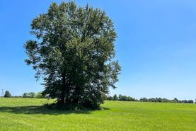 Undeveloped Land for sale in Houston County, Texas