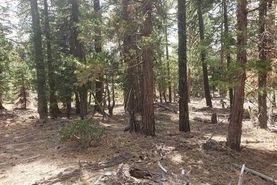 Undeveloped Land for sale in Modoc County, California