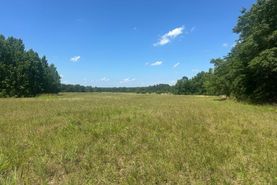Undeveloped Land for sale in Screven County, Georgia