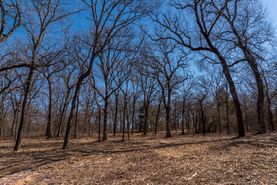 Undeveloped Land for sale in Cleveland County, Oklahoma