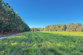 Ranch Property for sale in Dillon County, South Carolina
