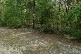 Undeveloped Land for sale in Putnam County, Florida