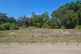 Undeveloped Land for sale in Putnam County, Florida
