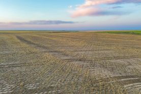 Undeveloped Land for sale in Logan County, Kansas