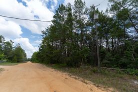 Undeveloped Land for sale in Putnam County, Florida
