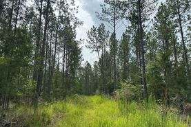 Recreational Property for sale in Fairfield County, South Carolina