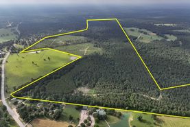 Undeveloped Land for sale in San Jacinto County, Texas