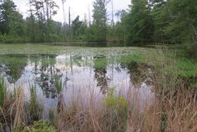 Recreational Property for sale in Newton County, Mississippi