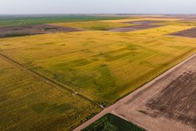 Ranch Property for sale in Finney County, Kansas