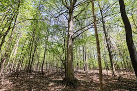 Ranch Property for sale in Van Buren County, Michigan