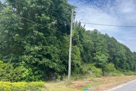 Undeveloped Land for sale in Dillon County, South Carolina