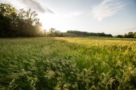 Property for sale in Monona County, Iowa