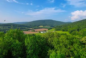 Undeveloped Land for sale in Madison County, Alabama