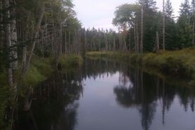 Riverfront Property for sale in Washington County, Maine