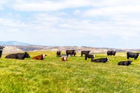 Ranch Property for sale in San Luis Obispo County, California