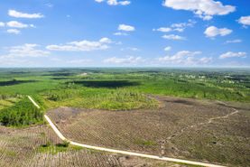 Timberland Property for sale in Wayne County, Georgia