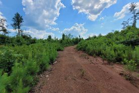 Undeveloped Land for sale in Lee County, Alabama