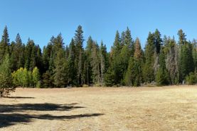 Undeveloped Land for sale in Klamath County, Oregon