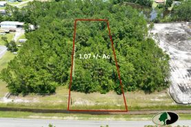 Undeveloped Land for sale in Camden County, Georgia