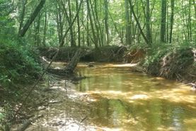 Timberland Property for sale in Perry County, Alabama