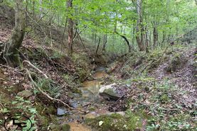 Undeveloped Land for sale in Tuscaloosa County, Alabama