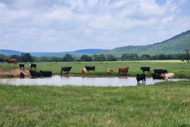 Ranch Property for sale in Latimer County, Oklahoma