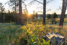 Undeveloped Land for sale in Musselshell County, Montana