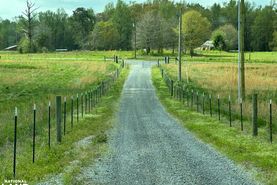 Undeveloped Land for sale in Etowah County, Alabama
