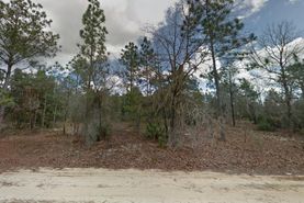 Undeveloped Land for sale in Putnam County, Florida