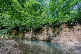Undeveloped Land for sale in Benton County, Tennessee