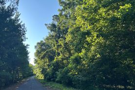 Property for sale in Panola County, Mississippi