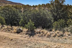 Undeveloped Land for sale in Otero County, New Mexico
