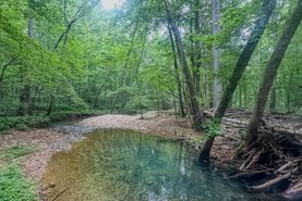 Undeveloped Land for sale in Benton County, Tennessee
