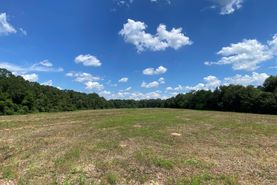 Recreational Property for sale in Geneva County, Alabama