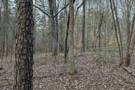 Recreational Property for sale in McNairy County, Tennessee
