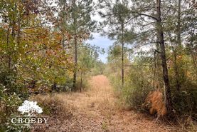 Undeveloped Land for sale in McIntosh County, Georgia