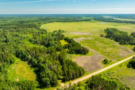 Timberland Property for sale in Wadena County, Minnesota