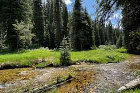 Undeveloped Land for sale in Valley County, Idaho