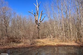 Property for sale in Jackson County, Alabama