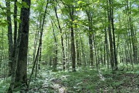 Timberland Property for sale in Lincoln County, Wisconsin